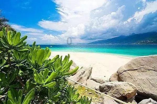 杨慎被称为神童，却喜欢与皇帝叫板，明世宗大怒：将他发配云南