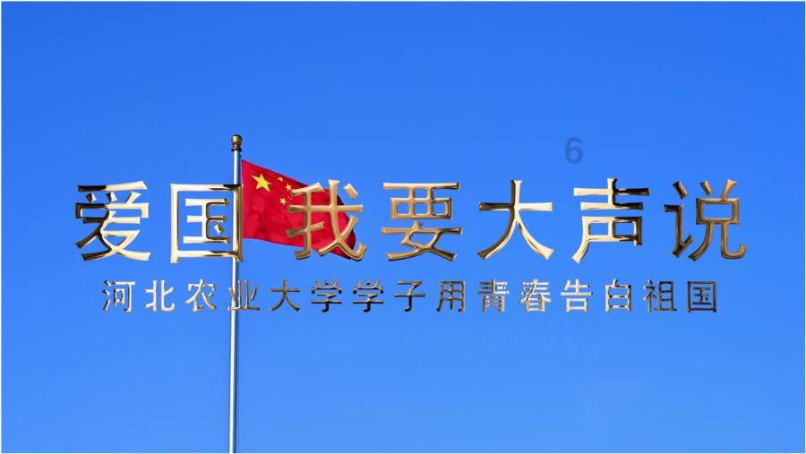 救援猫与武士