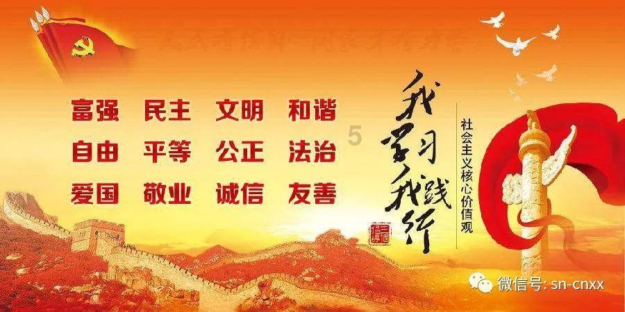 探索富含胡萝卜素的食物有哪些呢?有更方便的补充方法?!,解决你的疑惑